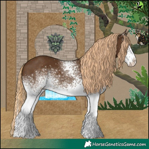Horse Color:White Spotted Chocolate Palomino 