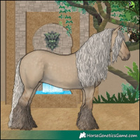Horse Color:Silver Smoky Grullo
