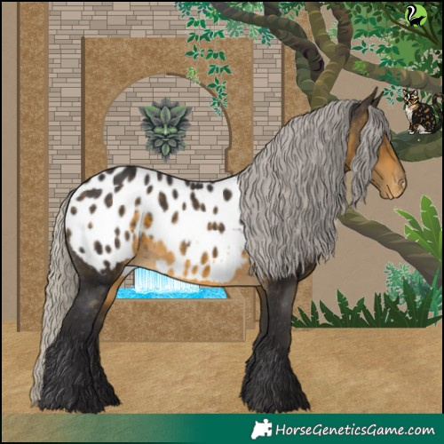Horse Color:White Spotted Silver Buckskin Appaloosa 