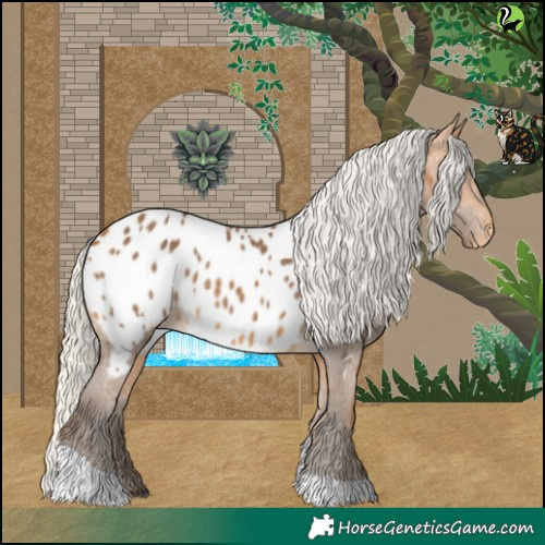 Horse Color:White Spotted Silver Buckskin Tobiano Near Leopard 