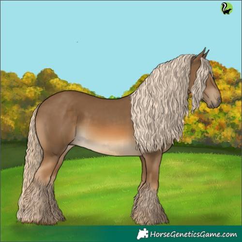 Horse Color:Chocolate Palomino 
