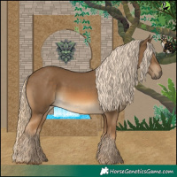 Horse Color:Chocolate Palomino 