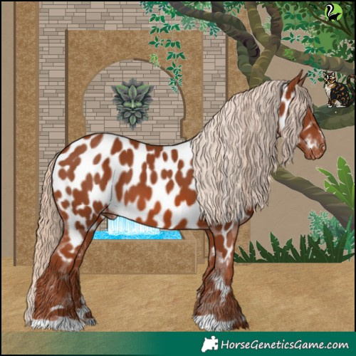 Horse Color:Chestnut Near Leopard 