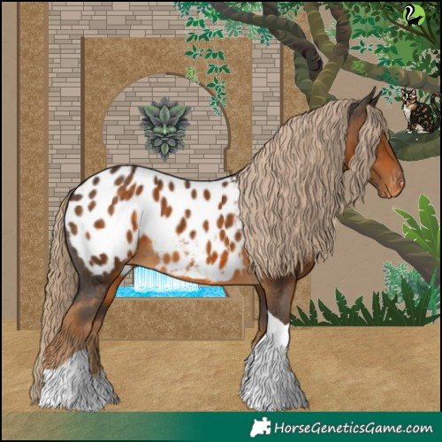 Horse Color:Chocolate Palomino Tobiano Blanket