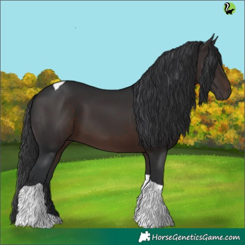Horse Color:Brown Tobiano 