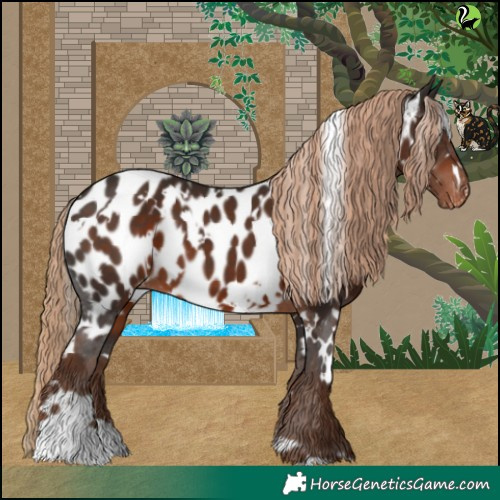 Horse Color:White Spotted Liver Chestnut Near Leopard 