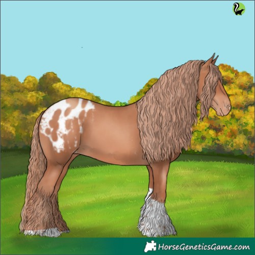 Horse Color:Gold Champagne Tobiano Blanket