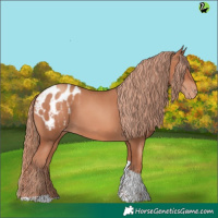 Horse Color:Gold Champagne Tobiano Blanket 