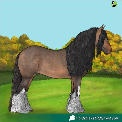 Horse Color:White Spotted Brown Dun 