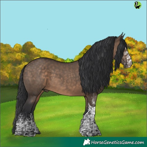 Horse Color:White Spotted Brown Dun Tobiano