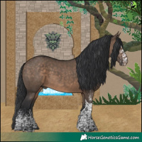 Horse Color:White Spotted Brown Dun Tobiano