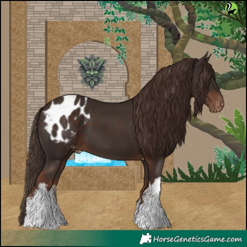 Horse Color:White Spotted Liver Chestnut Tobiano Appaloosa 