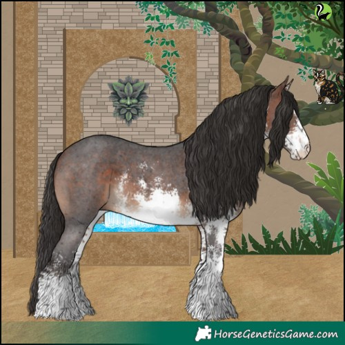 Horse Color:White Spotted Bay Sabino 