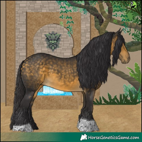 Horse Color:Buckskin Tobiano 