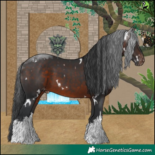 Horse Color:White Spotted Brown Varnish 