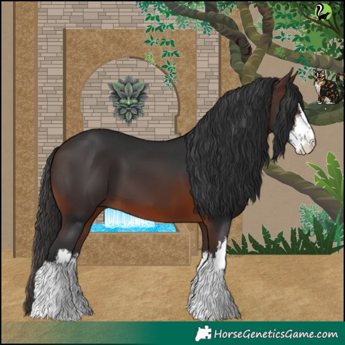 Horse Color:White Spotted Brown 