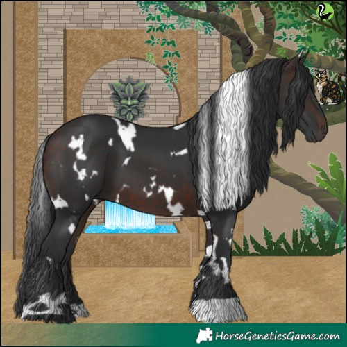Horse Color:White Spotted Brown 