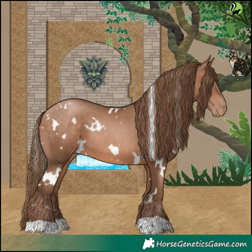 Horse Color:White Spotted Brown Pearl 