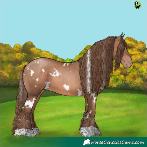 Horse Color:White Spotted Brown Pearl