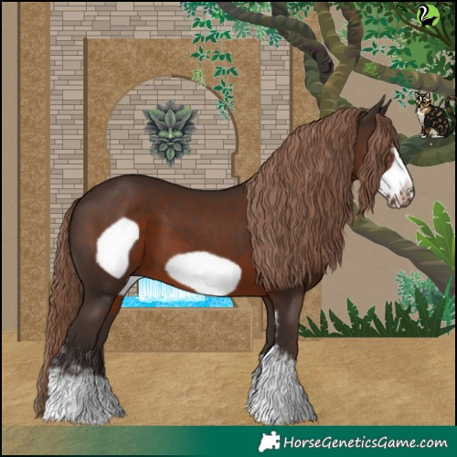 Horse Color:Liver Chestnut Sabino Frame 