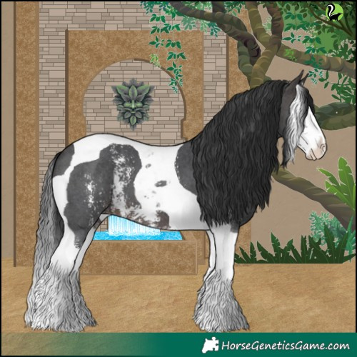 Horse Color:Brown Sabino Splash Tobiano 