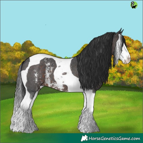 Horse Color:Brown Sabino Splash Tobiano