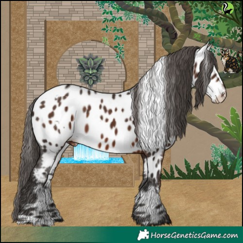 Horse Color:White Spotted Liver Chestnut Near Leopard 