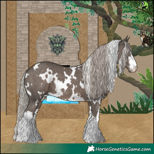 Horse Color:White Spotted Silver Black 