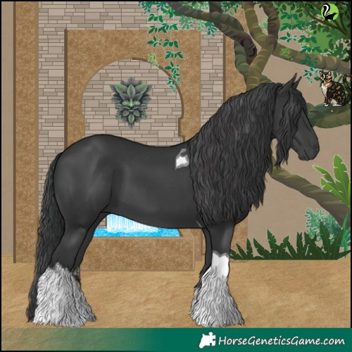 Horse Color:White Spotted Black Tobiano 