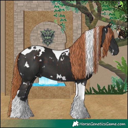 Horse Color:White Spotted Liver Chestnut Tobiano 