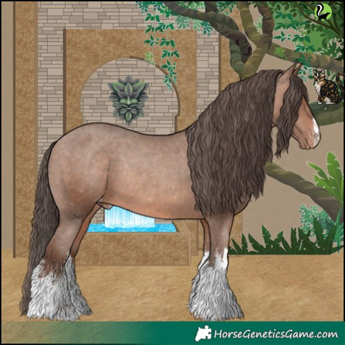 Horse Color:White Spotted Sable Champagne Appaloosa Rabicano 