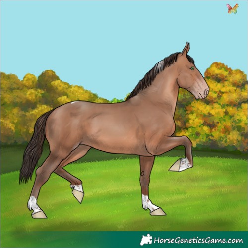 Horse Color:Sable Champagne Tobiano Rabicano 