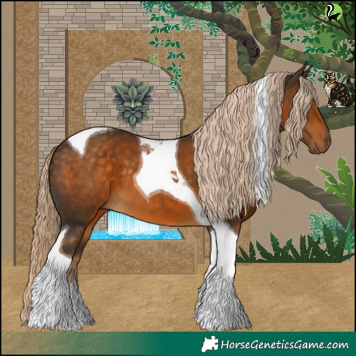 Horse Color:Chocolate Palomino Tobiano 