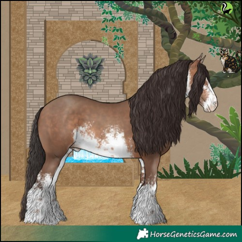 Horse Color:White Spotted Sable Champagne 