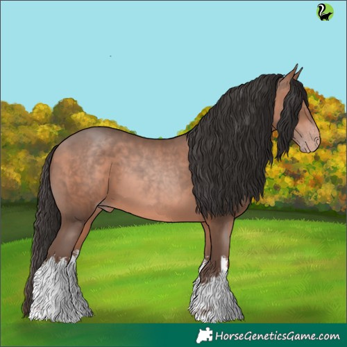 Horse Color:White Spotted Sable Champagne 