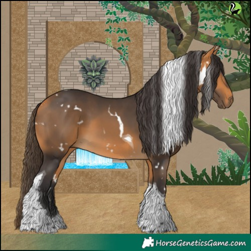 Horse Color:White Spotted Buckskin Tobiano 