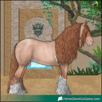 Horse Color:Gold Champagne Roan Tobiano 