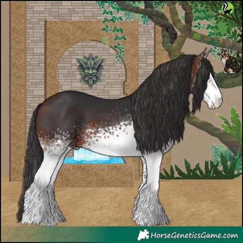 Horse Color:White Spotted Brown 
