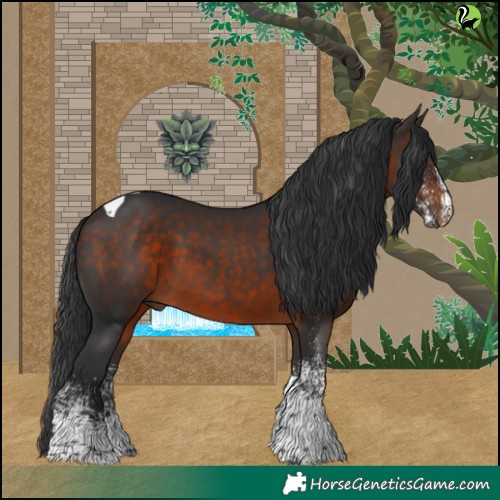 Horse Color:White Spotted Brown Tobiano 
