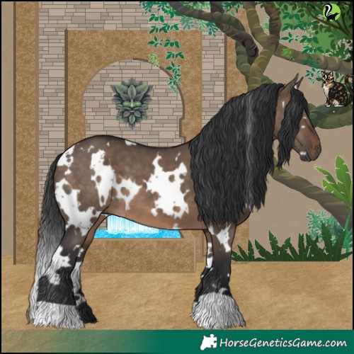 Horse Color:White Spotted Brown Dun 