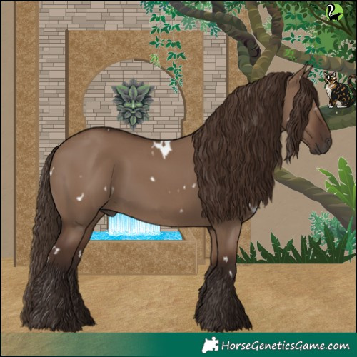 Horse Color:White Spotted Liver Red Dun 