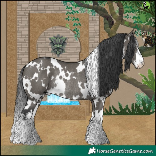 Horse Color:White Spotted Grullo Rabicano 