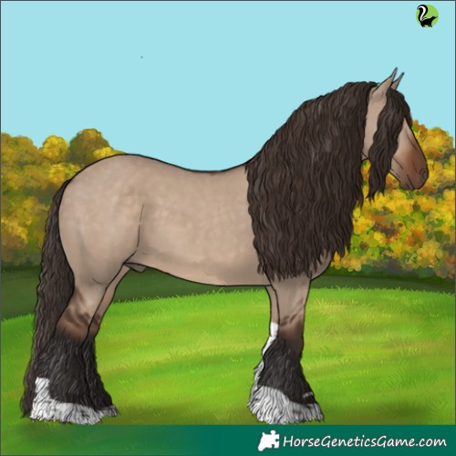 Horse Color:Liver Red Dun Tobiano 