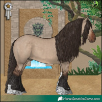 Horse Color:Liver Red Dun Tobiano