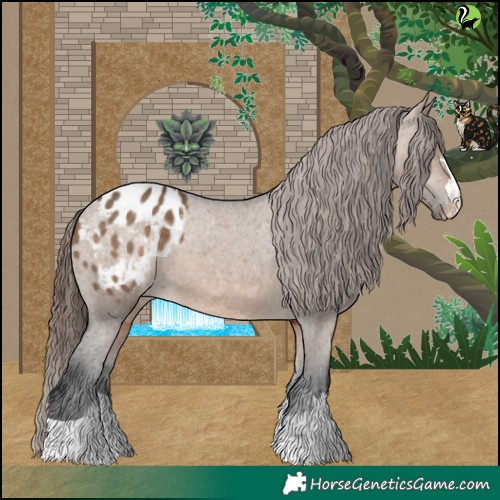 Horse Color:Brown Dun Blanket 