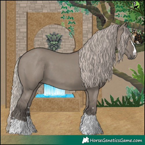 Horse Color:Silver Grullo 