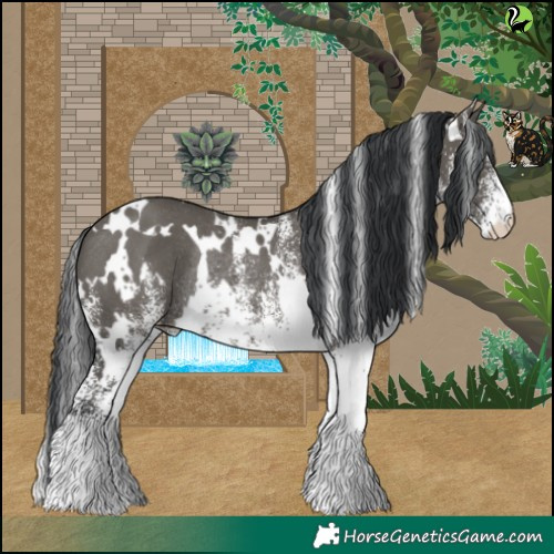 Horse Color:White Spotted Grullo Rabicano 
