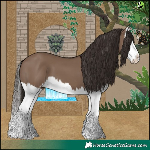 Horse Color:Liver Red Dun Splash 