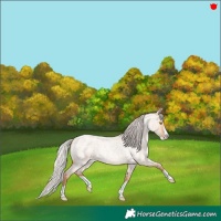 Horse Color:Silver Classic Champagne Roan Dun Splash 