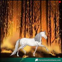 Horse Color:Silver Classic Champagne Roan Dun Splash 